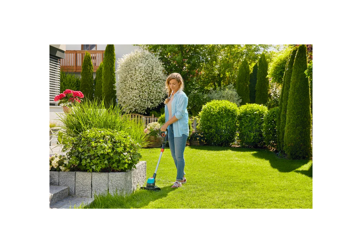 Απεικονίζεται το τρίμερ 